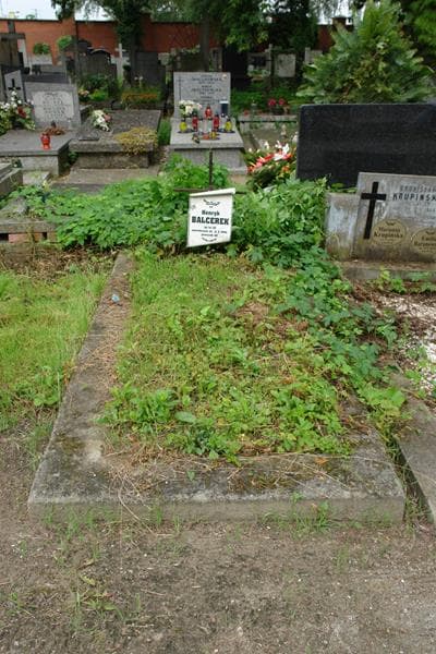 Zdjęcie grobu Henryk Balcerek (1)