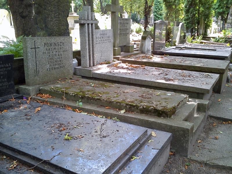 Zdjęcie grobu: Roman Poniński
