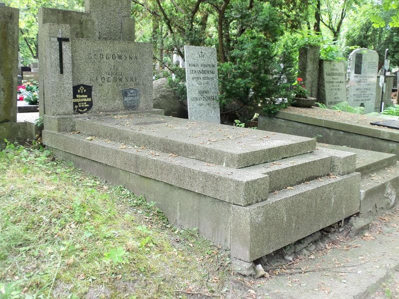 Zdjęcie grobu Janina Księżopolska (1)