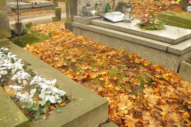 Zdjęcie grobu Pole Grobowe (1)