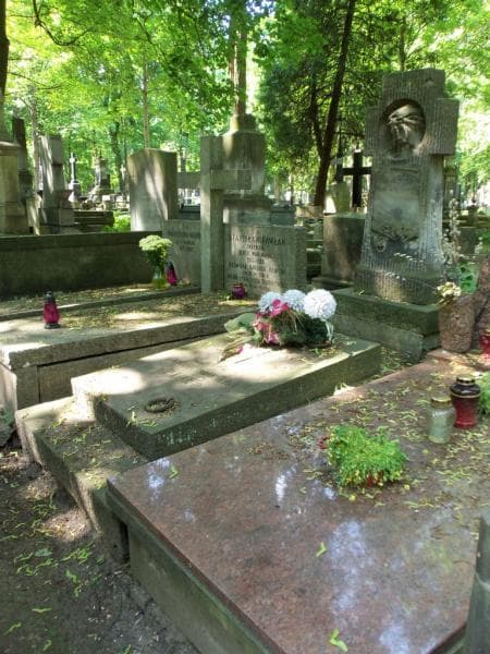 Zdjęcie grobu Michał Pióro (1)