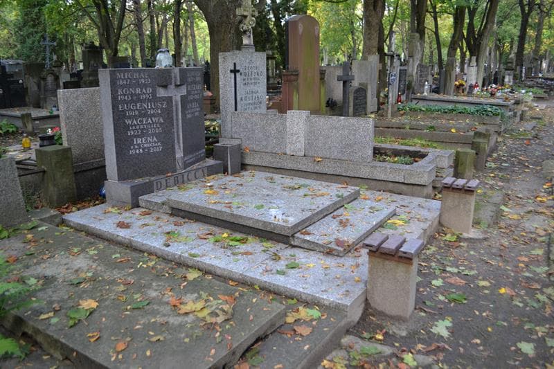 Zdjęcie grobu: Aniela Dębicka