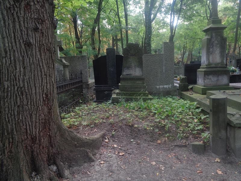 Zdjęcie grobu Maryja Bukowska (1)