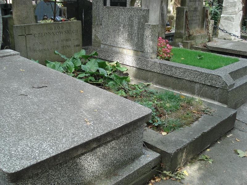 Zdjęcie grobu: Maria Członkowska