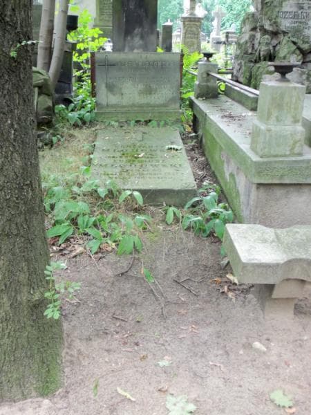 Zdjęcie grobu: Eugeniusz Młodowski