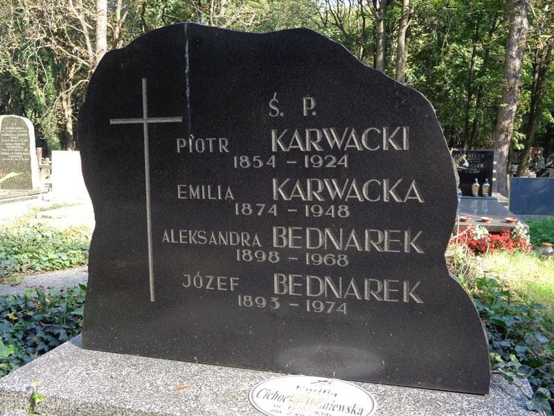 Zdjęcie grobu Józef Bednarek (2)