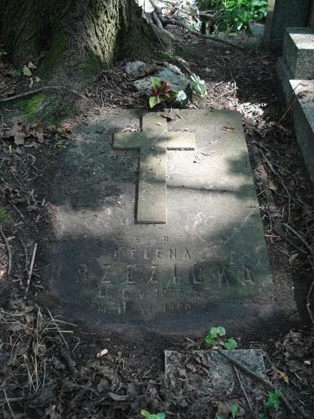 Zdjęcie grobu Helena Brzezińska (2)