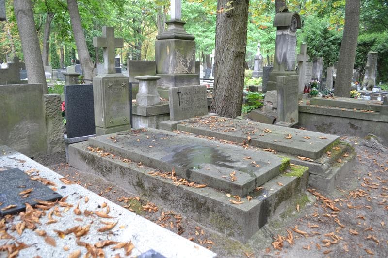 Zdjęcie grobu: Wincenty Leszczyński