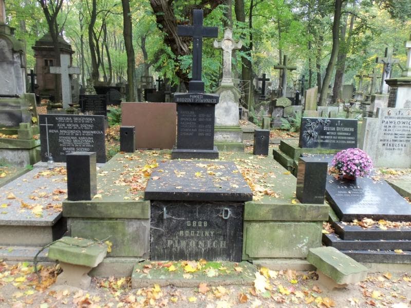 Zdjęcie grobu: Zygmunt Piwoni