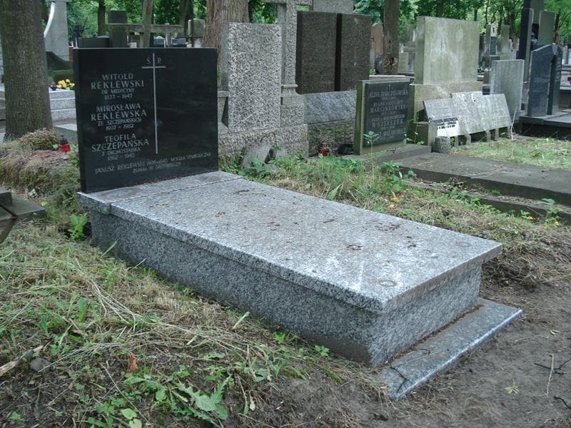 Zdjęcie grobu: Teofila Szczepańska