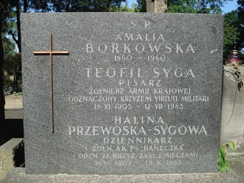 Zdjęcie grobu Amalia Borkowska (2)