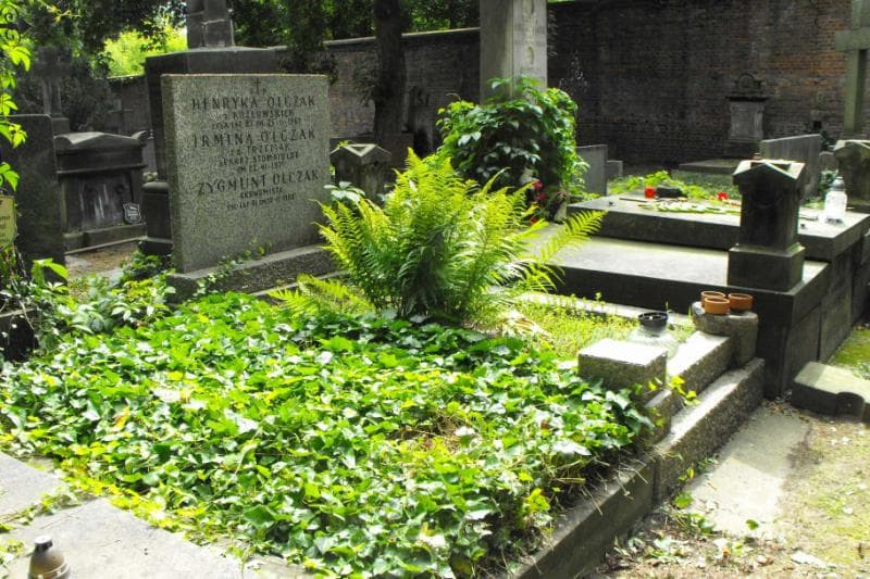 Zdjęcie grobu Irmina Olczak (1)