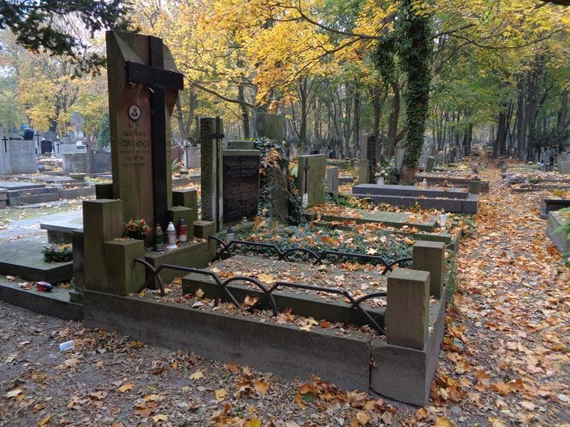 Zdjęcie grobu: Wincenty Wędrychowski