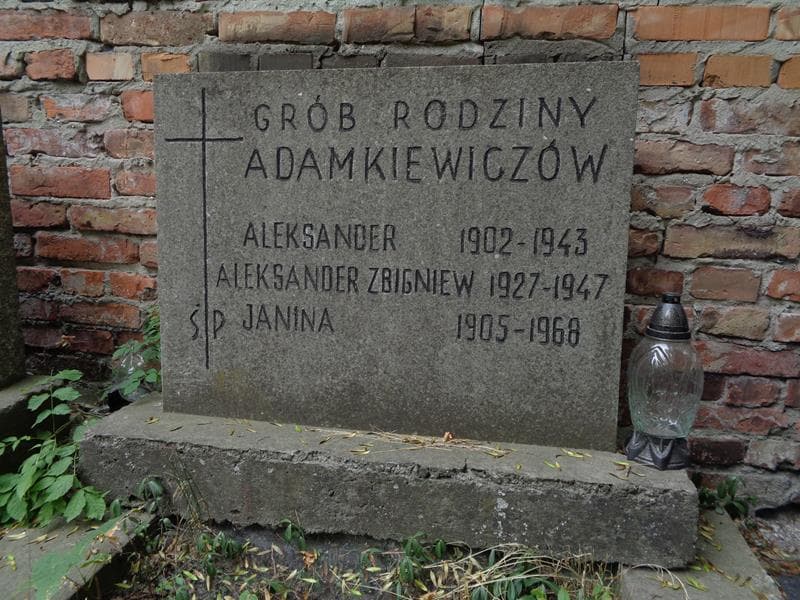 Zdjęcie grobu Aleksander Adamkiewicz (2)