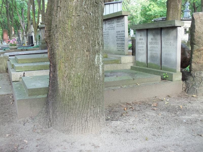 Zdjęcie grobu Wanda Dąbrowska (1)