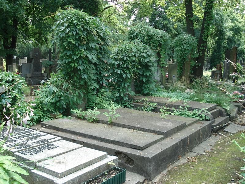 Zdjęcie grobu: Zofia Drowanowska