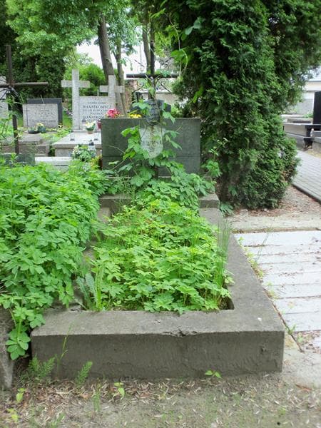 Zdjęcie grobu: Józefa Malinowska
