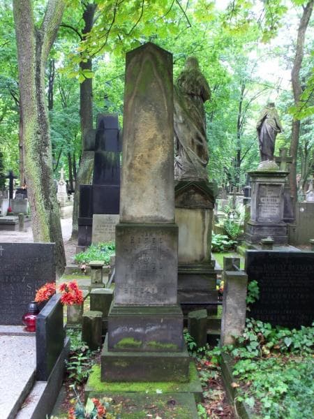Zdjęcie grobu Wieńczysława Detyniecka (2)
