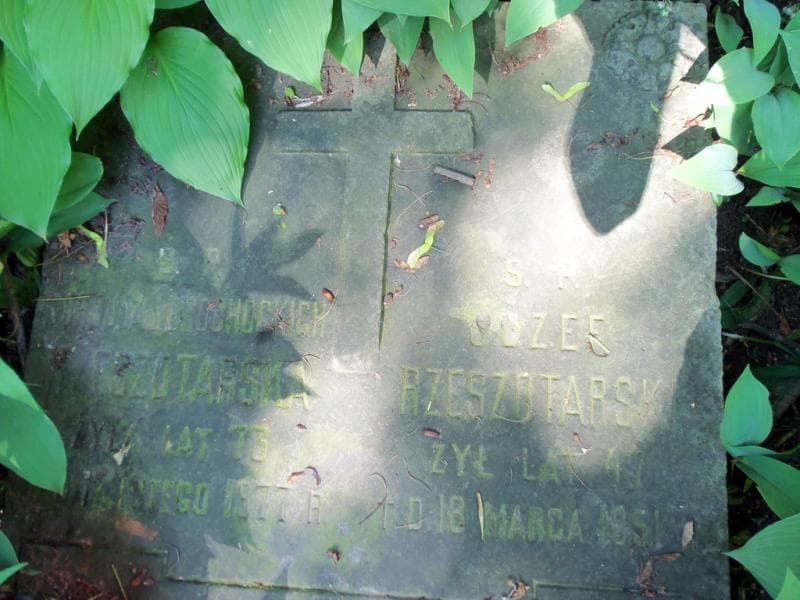 Zdjęcie grobu Józef Rzeszotarski (2)