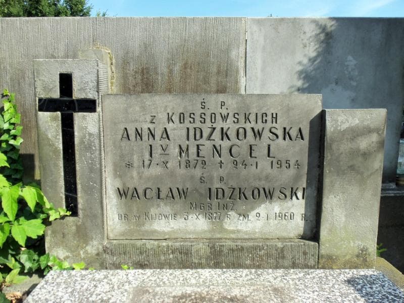 Zdjęcie grobu Wacław Idźkowski (1)