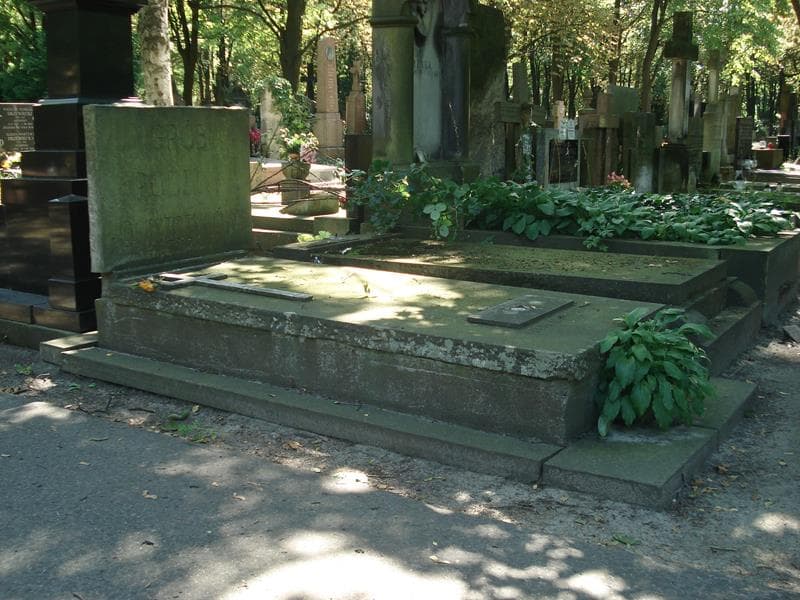 Zdjęcie grobu Aleksander Oniszczyk (1)