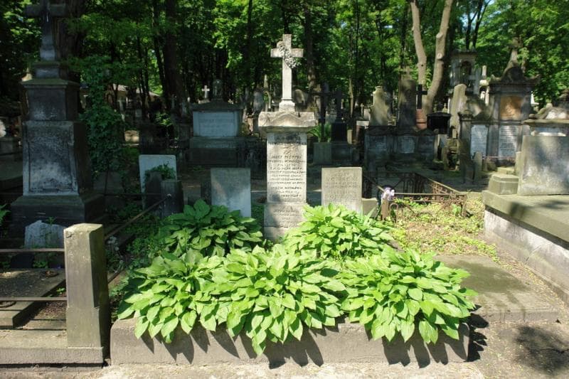 Zdjęcie grobu Józef Plendel (1)