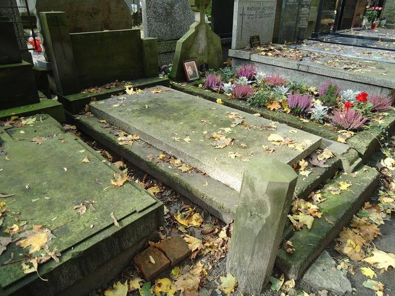 Zdjęcie grobu Marian Lachmann (1)