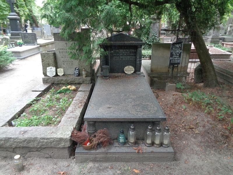 Zdjęcie grobu Maria Mierzwińska (1)