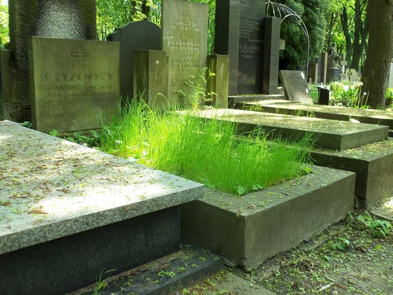 Zdjęcie grobu Serafina Czyżewska (1)