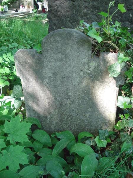 Zdjęcie grobu Loward Wyger (1)