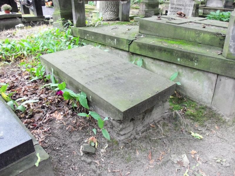 Zdjęcie grobu Bronisława Filipowiczowa (1)