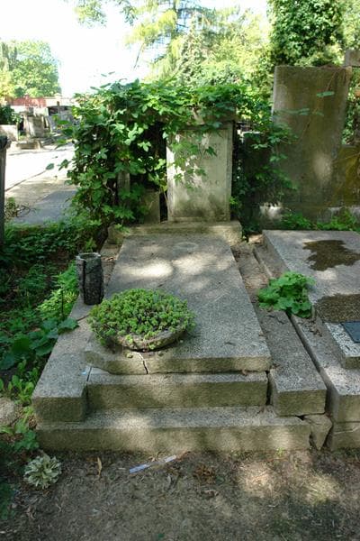 Zdjęcie grobu Karol Tadeusz Strażyc (1)