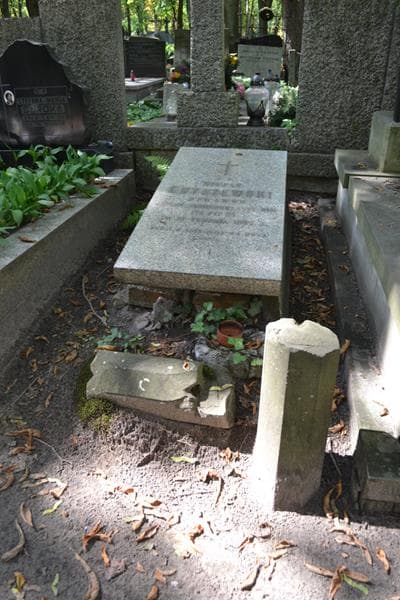Zdjęcie grobu Stefan Chyczewski (1)