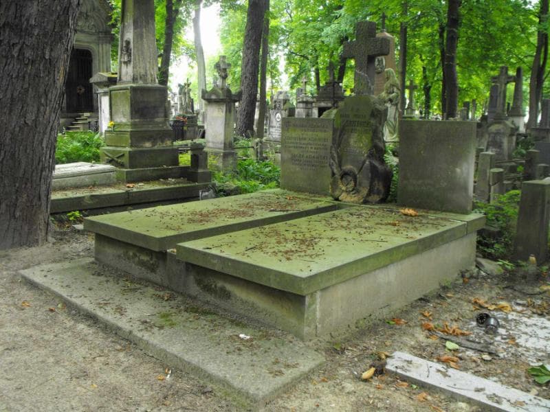 Zdjęcie grobu Karol Pomian Srzednicki (1)