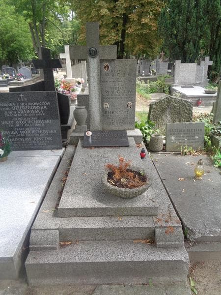 Zdjęcie grobu Wiktor Dubrowin (1)