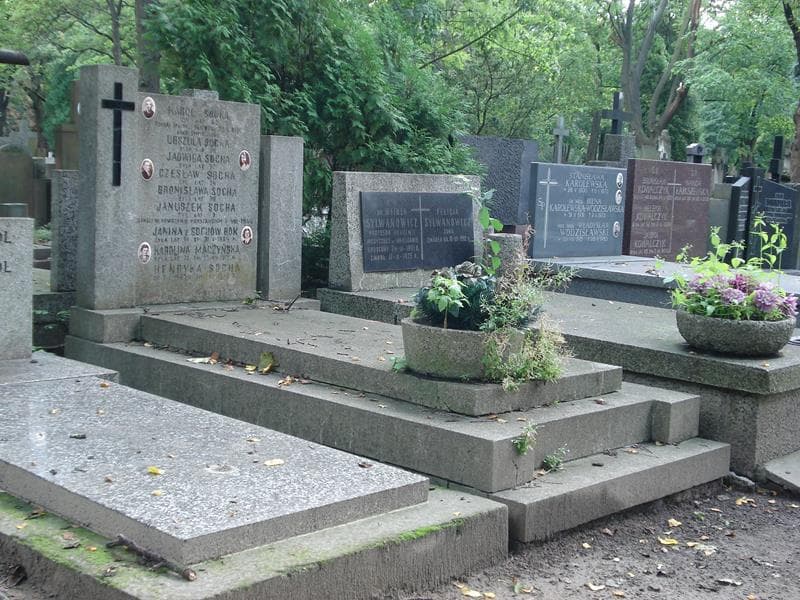 Zdjęcie grobu Karolina Maczyńska (1)