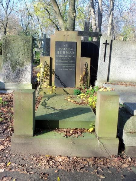 Zdjęcie grobu: Bolesław Herman