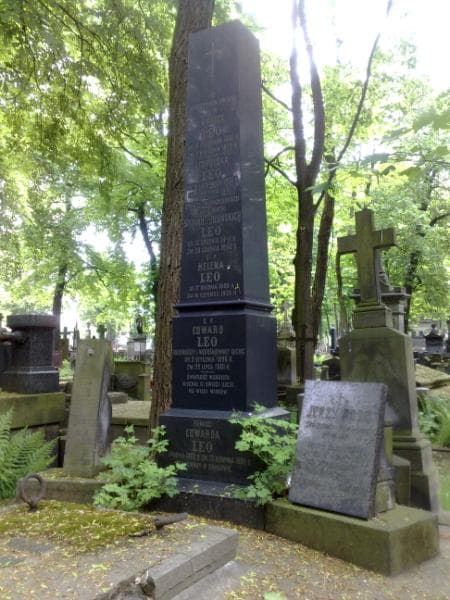Zdjęcie grobu Anielcia Leo (1)