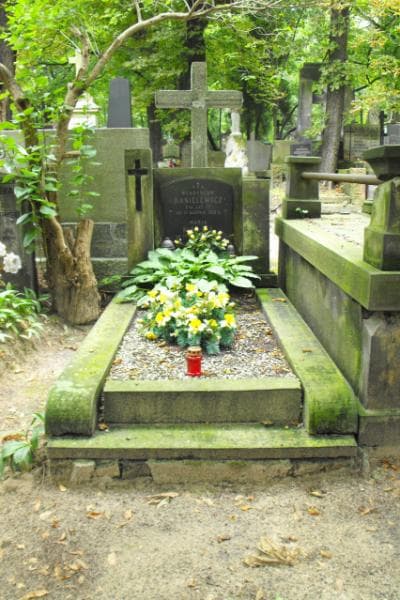 Zdjęcie grobu: Władysław Danielewicz