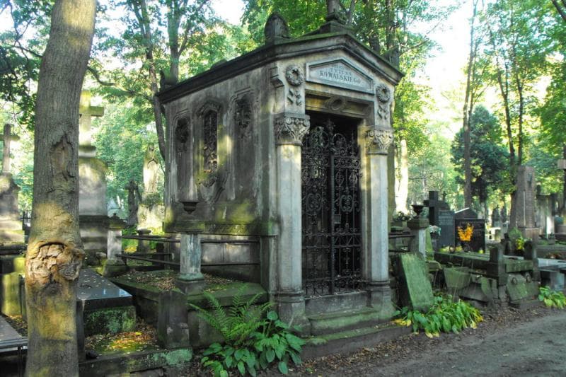 Zdjęcie grobu Natalia Lasia (1)