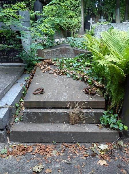 Zdjęcie grobu Marja Dembowska (1)