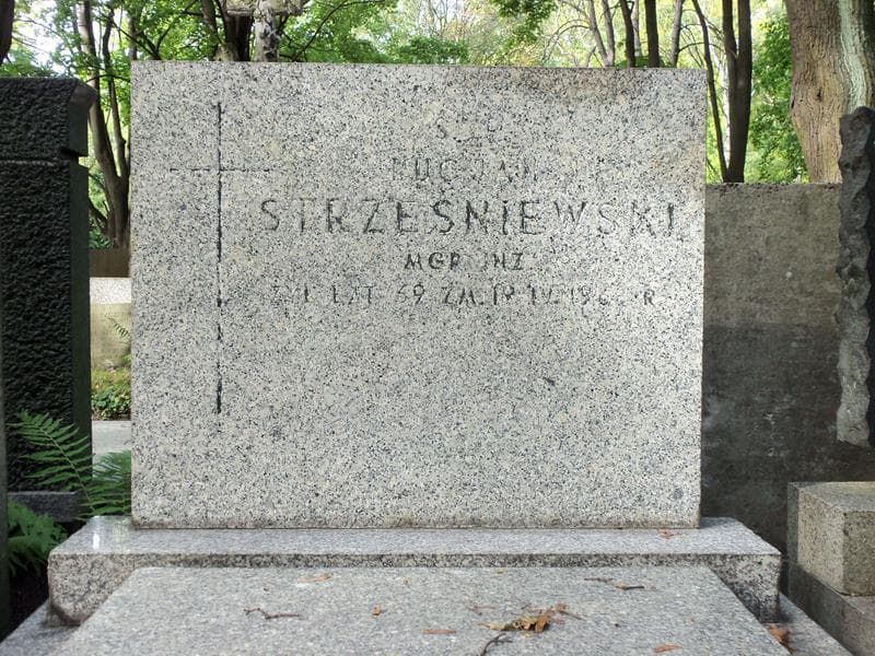 Zdjęcie grobu Lucjan Strześniewski (2)