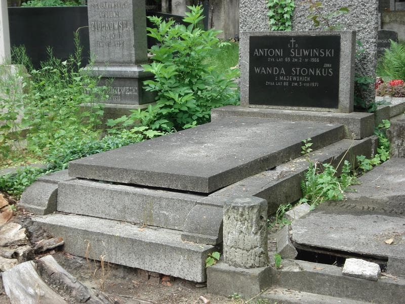Zdjęcie grobu Wanda Stonkus (1)