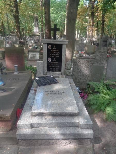 Zdjęcie grobu Władysław Adamiec (1)