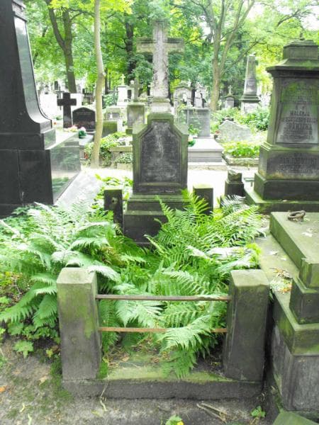 Zdjęcie grobu: Stefan Dekuciński