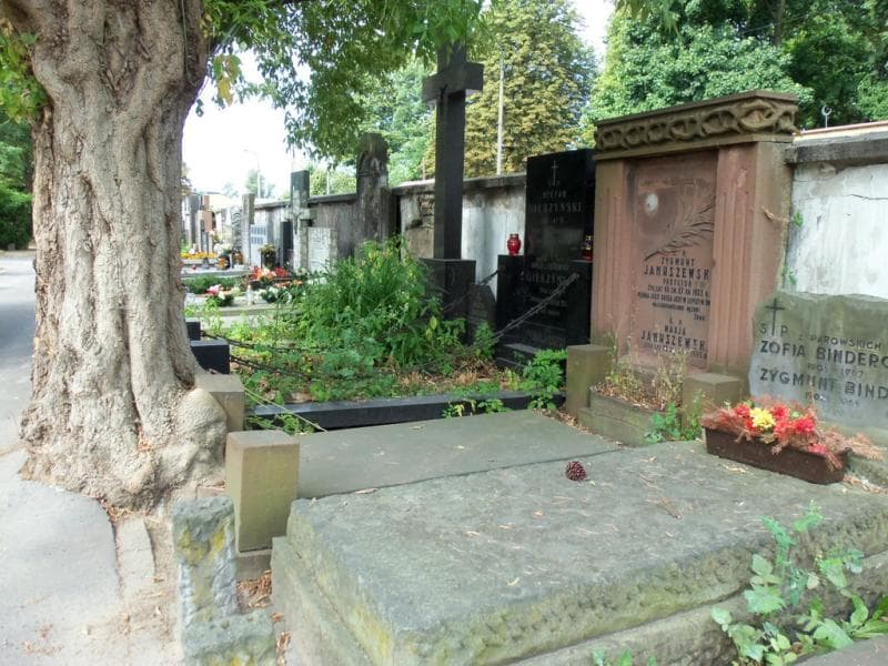 Zdjęcie grobu Zygmunt Januszewski (1)