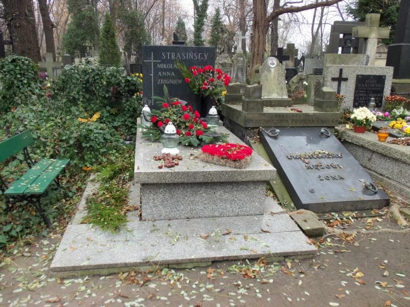Zdjęcie grobu: Mikołaj Strasiński
