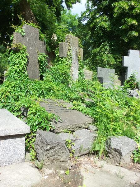 Zdjęcie grobu Wojciech Kazimierz Walczak (1)