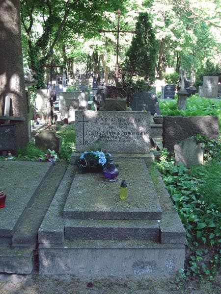 Zdjęcie grobu: Krystyna Dworak