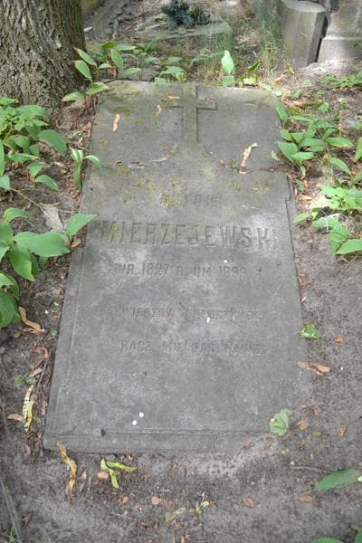 Zdjęcie grobu Antoni Mierzejewski (2)
